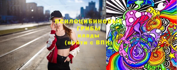 героин Алексин