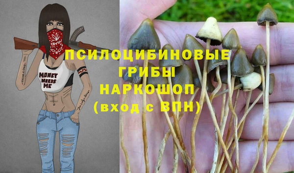 героин Алексин