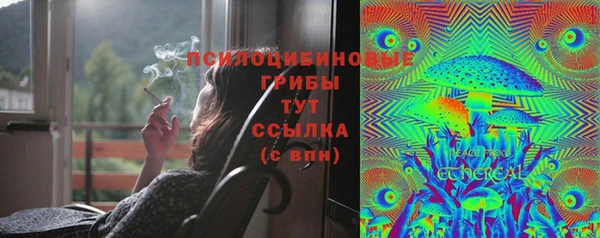 спайс Абинск