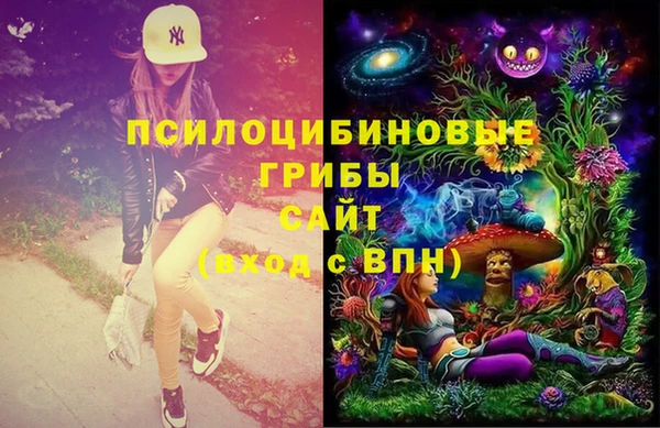 соль курить ск Алзамай