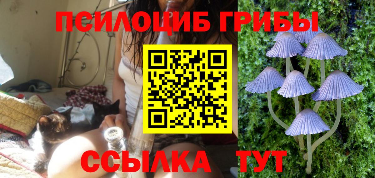 Галлюциногенные грибы ЛСД  Вход с VPN  Троицк 