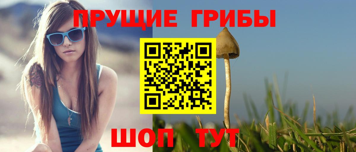 Псилоцибиновые грибы GOLDEN TEACHER Троицк